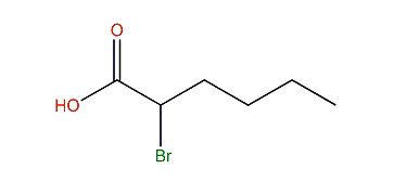 2-Bromohexanoic acid